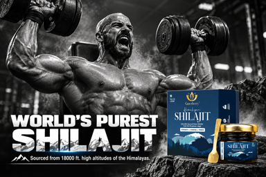 graceberry Shilajit resin
